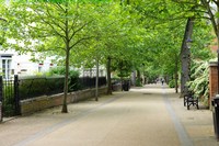 New Walk