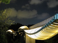 Henderson Wave Bridge