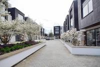 Melody Lane, London