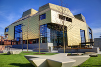 The Hive