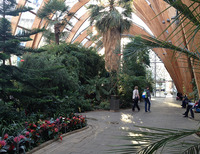 Winter Garden