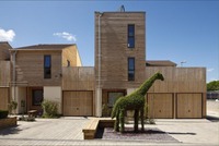 Icon Lime Tree Square